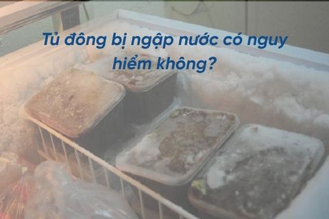Tủ đông bị ngập nước có nguy hiểm không? Cách khắc phục sự cố an toàn, hiệu quả