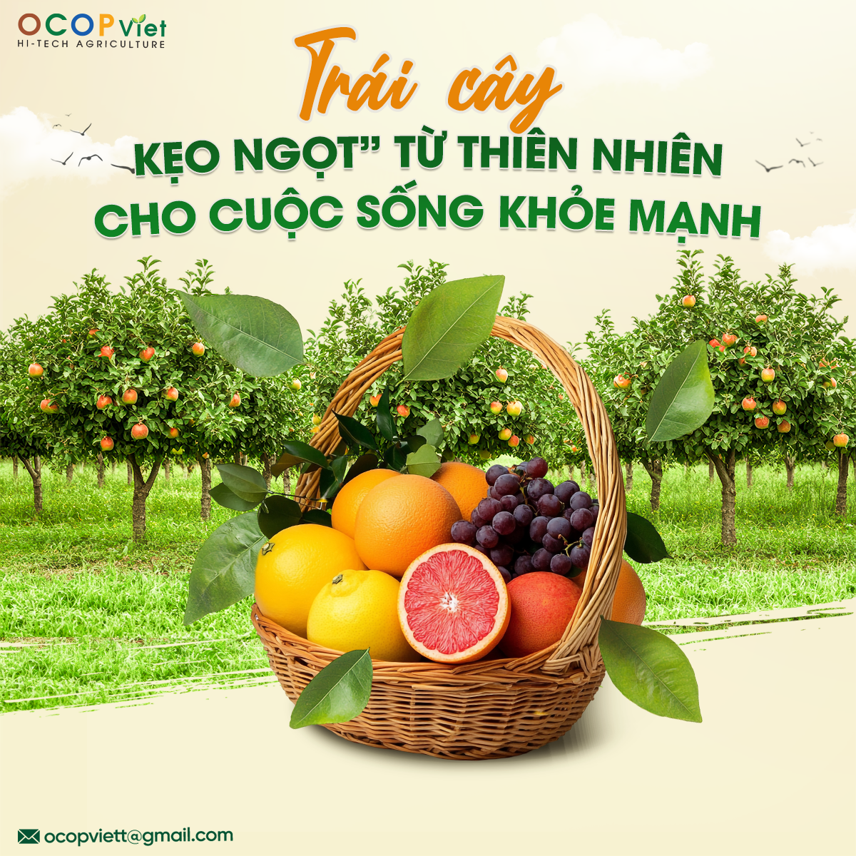 Trái Cây – “Kẹo Ngọt” Từ Thiên Nhiên Cho Cuộc Sống Khỏe Mạnh