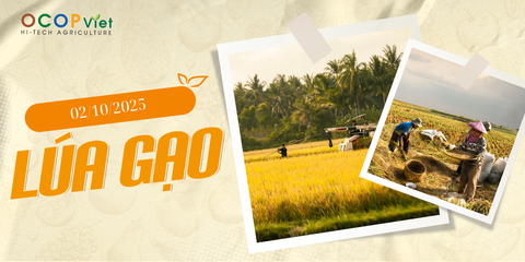 Giá Nông Sản Hôm Nay 02/10/2025 - Cập Nhật Mới Nhất