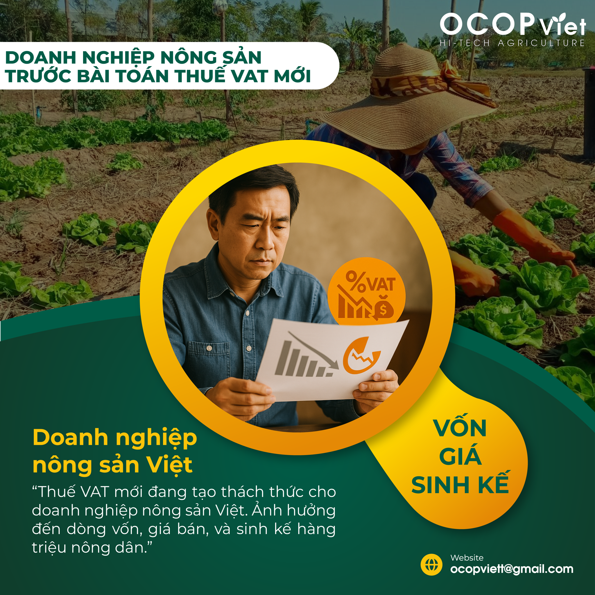 Doanh nghiệp nông sản trước bài toán thuế VAT mới: Vốn, giá và sinh kế nông dân