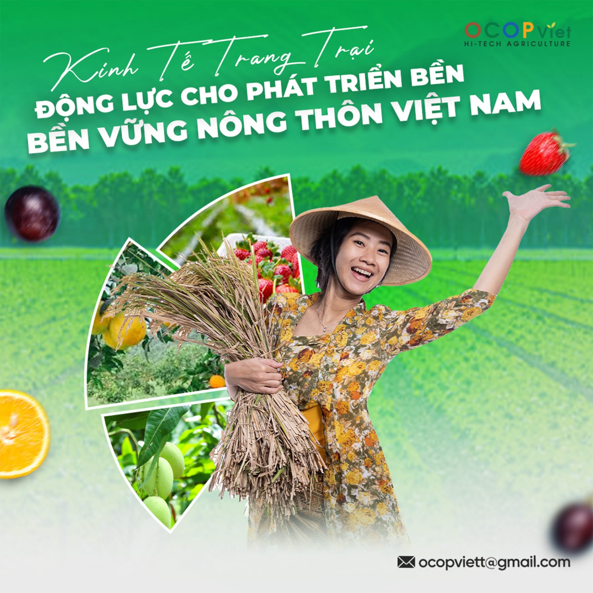 Kinh Tế Trang Trại – Động Lực Cho Phát Triển Bền Vững Nông Thôn Việt Nam