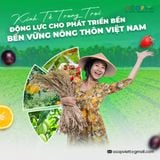 Kinh Tế Trang Trại – Động Lực Cho Phát Triển Bền Vững Nông Thôn Việt Nam