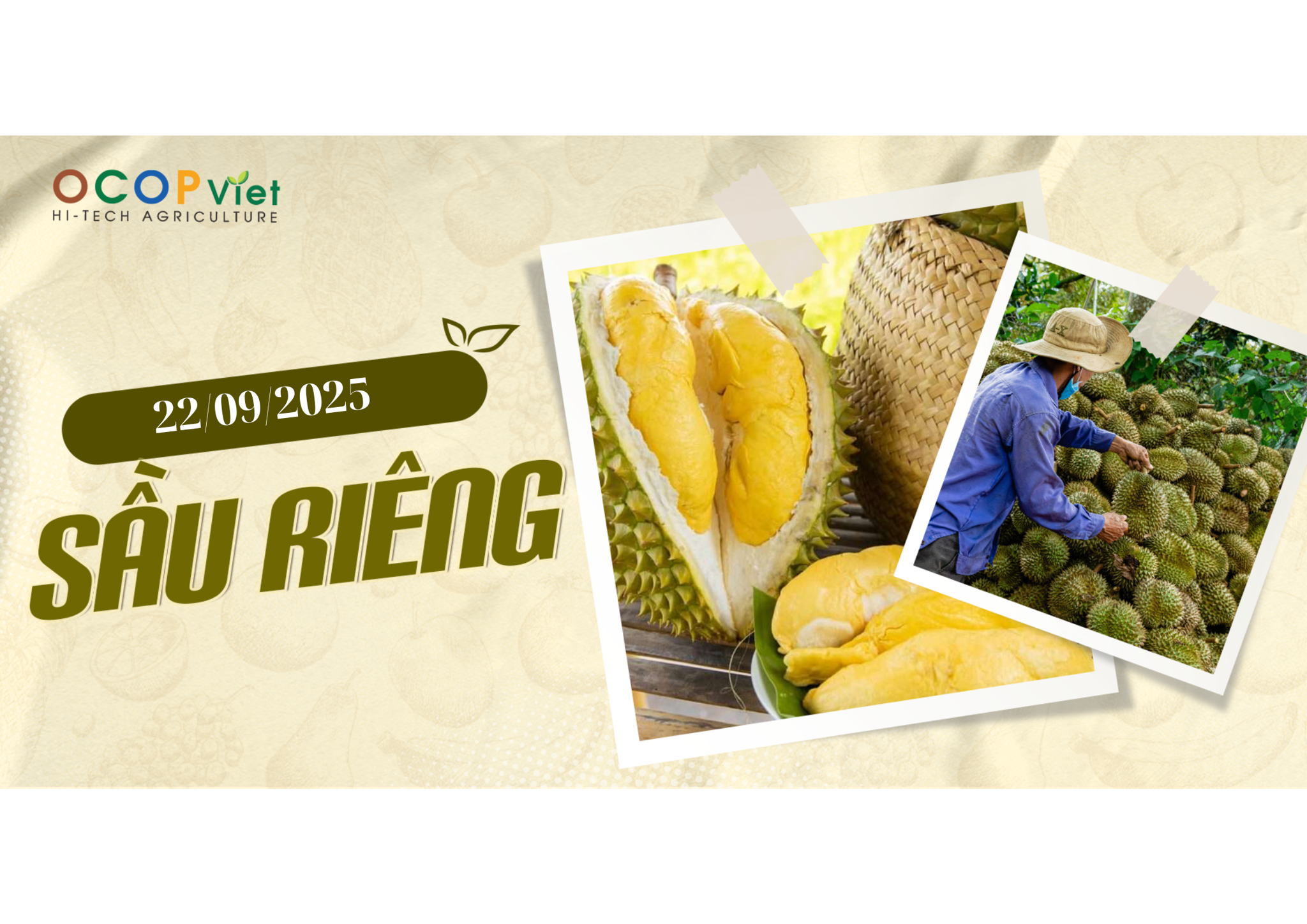 Giá Nông Sản Hôm Nay 22/9/2025 - Cập Nhật Mới Nhất