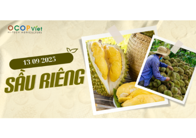 Giá Nông Sản Hôm Nay 13/9/2025 - Cập Nhật Mới Nhất