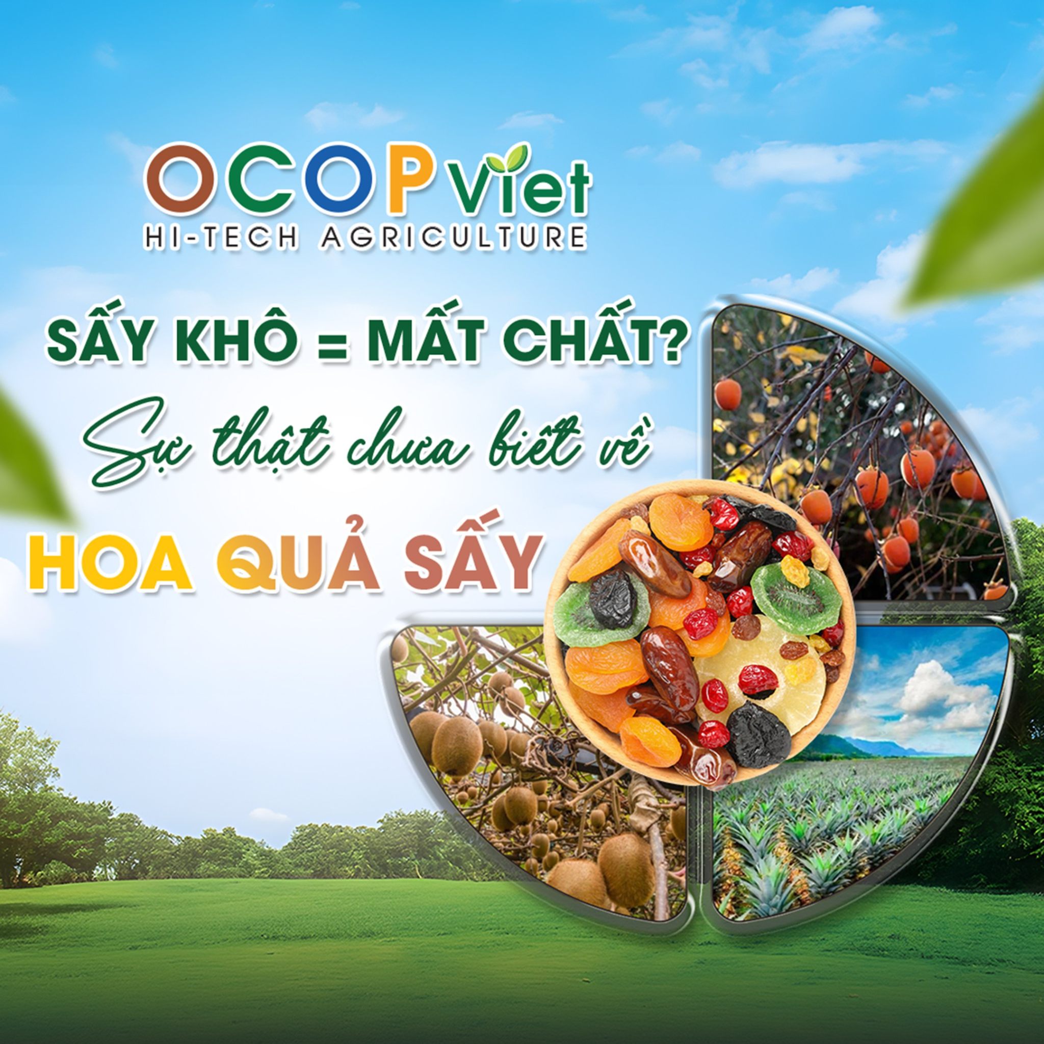 Sấy khô liệu có mất chất? Sự thật bạn chưa biết về hoa quả sấy.