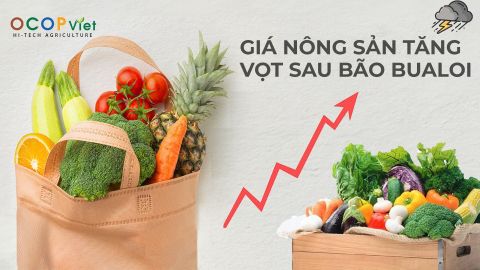 Giá nông sản tăng vọt sau bão Bualoi: Cú sốc thị trường không thể bỏ qua