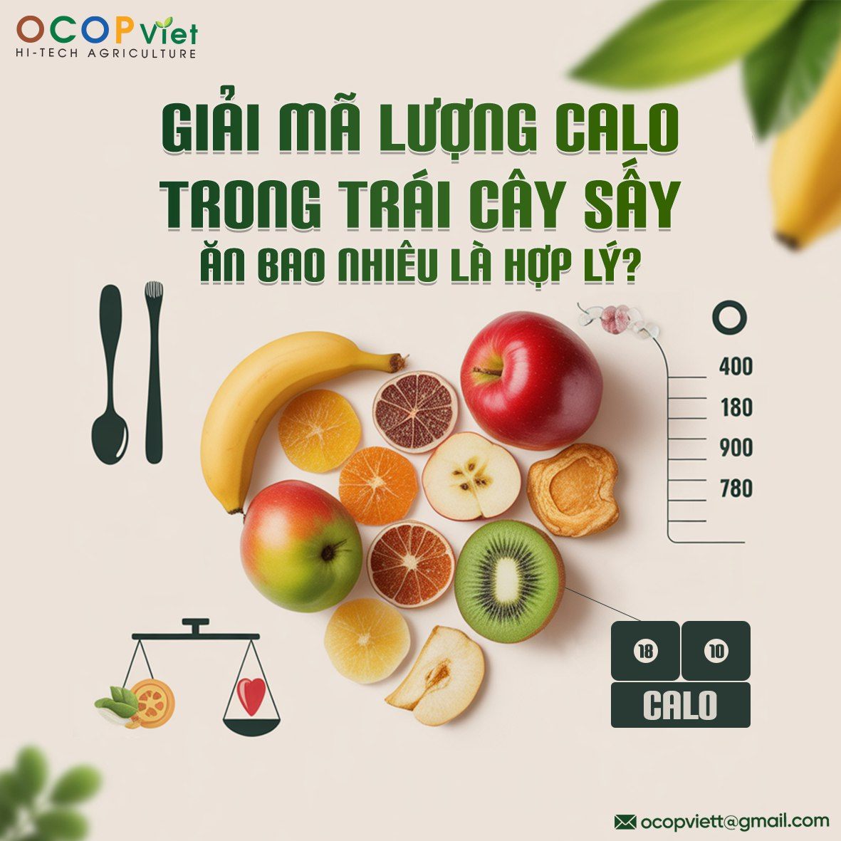 Giải Mã Lượng Calo Trong Trái Cây Sấy – Ăn Bao Nhiêu Là Hợp Lý?