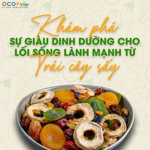 Những Loại Trái Cây Sấy Giàu Dinh Dưỡng Cho Lối Sống Lành Mạnh