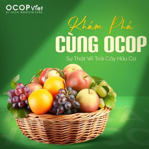 Khám Phá Cùng OCOP: Sự Thật Về Trái Cây Hữu Cơ