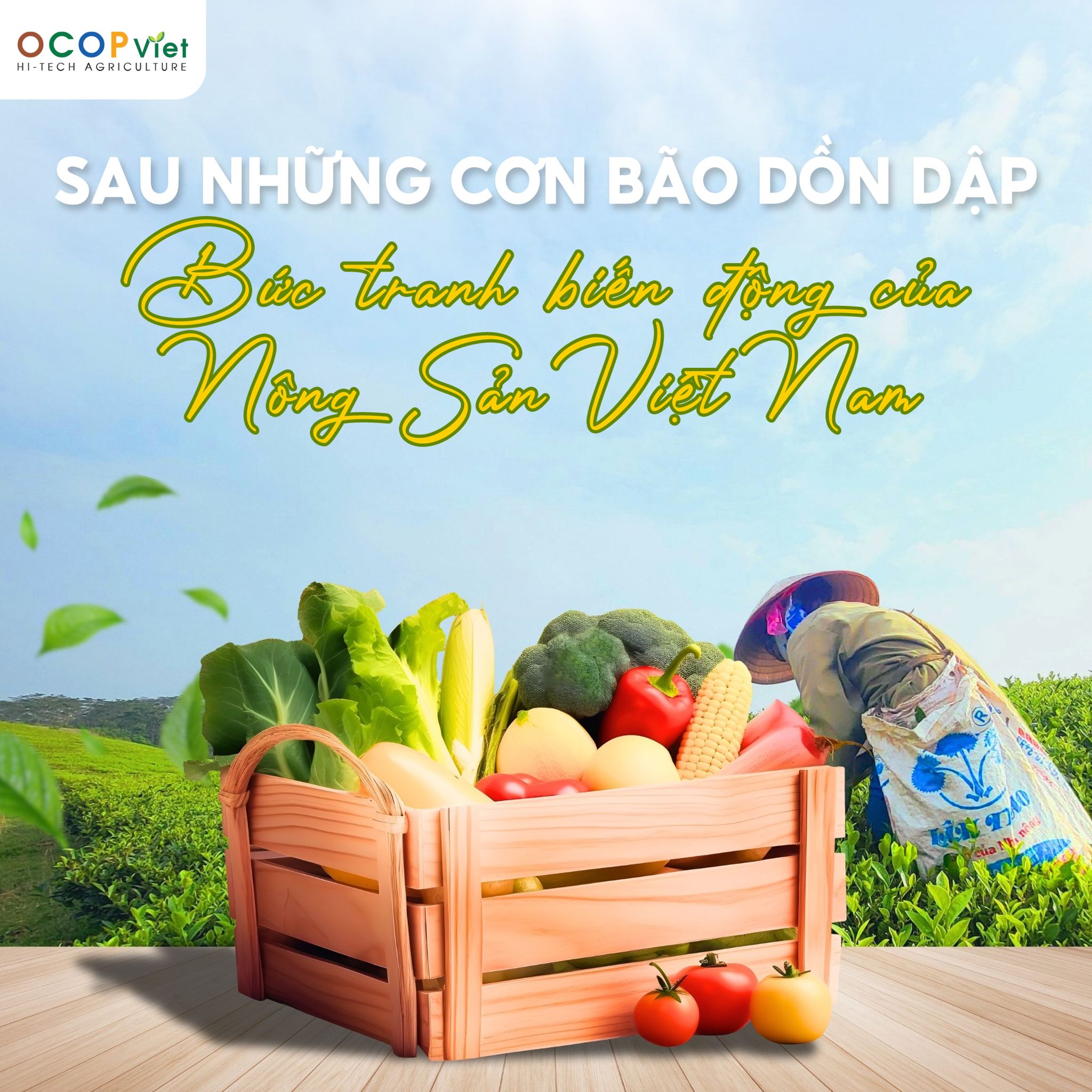 Sau Những Cơn Bão Dồn Dập: Bức Tranh Biến Động Của Nông Sản Việt Nam