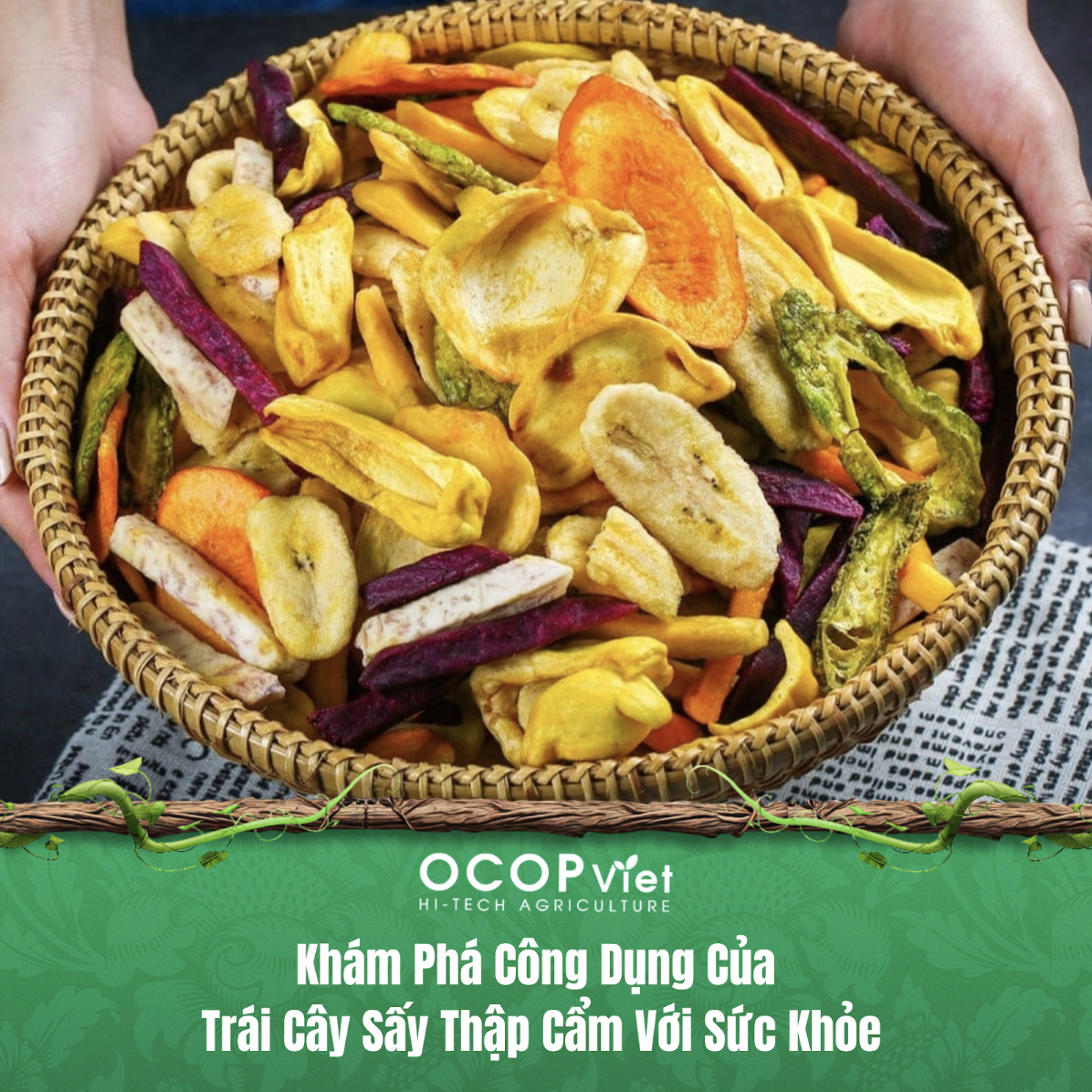 Khám Phá Công Dụng Của Trái Cây Sấy Thập Cẩm Với Sức Khỏe