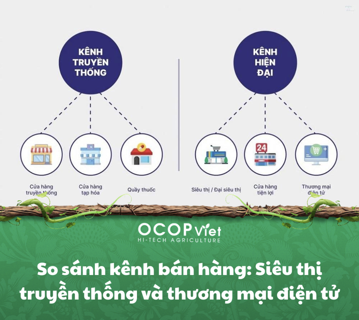 So sánh kênh bán hàng: Siêu thị truyền thống và thương mại điện tử