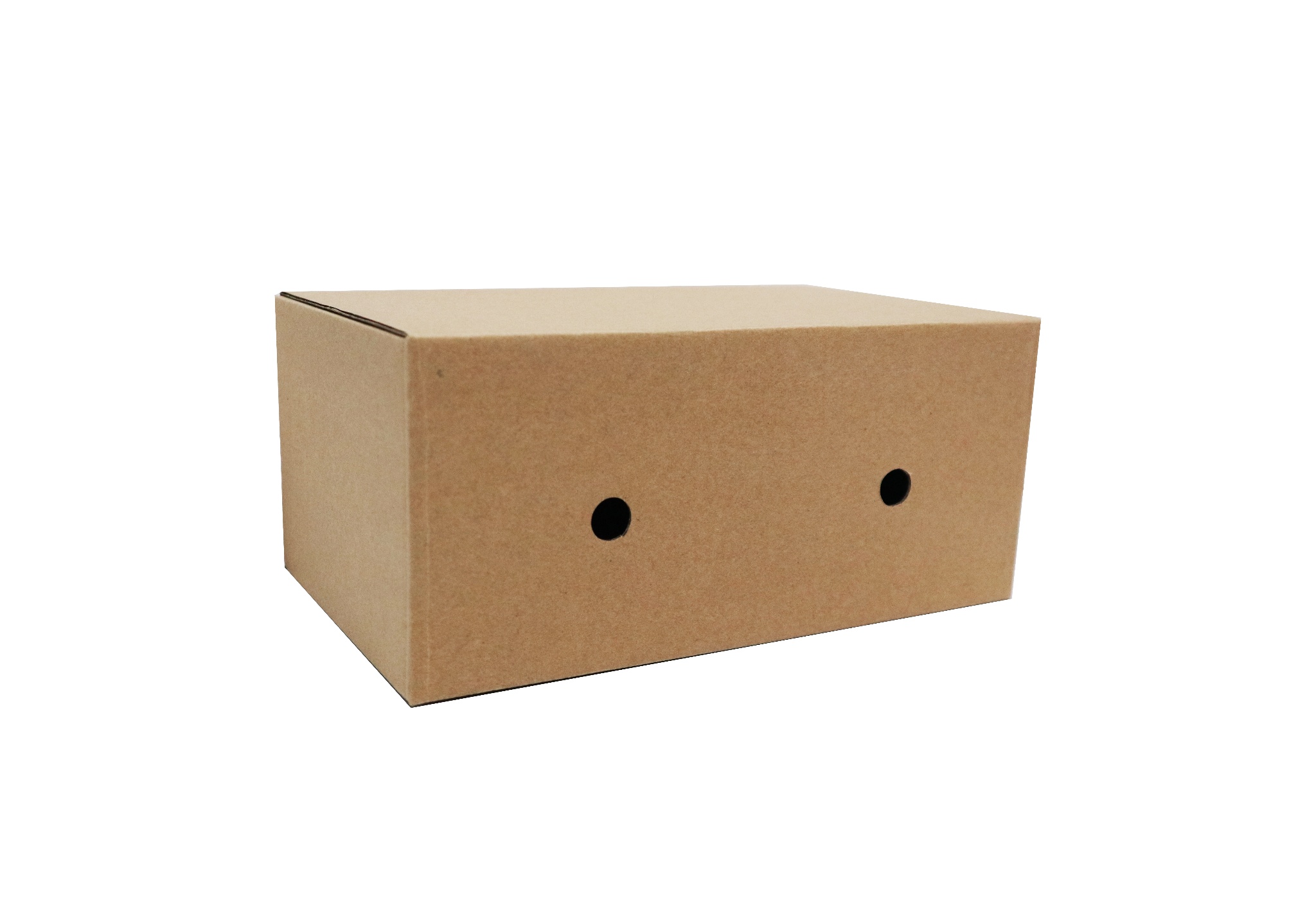 Top 15 xưởng sản xuất hộp carton đóng hàng giá rẻ tại Gia Lai