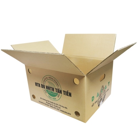 Những lợi ích tuyệt vời khi in hộp giấy đựng quà Tết ở Cần Thơ 2025