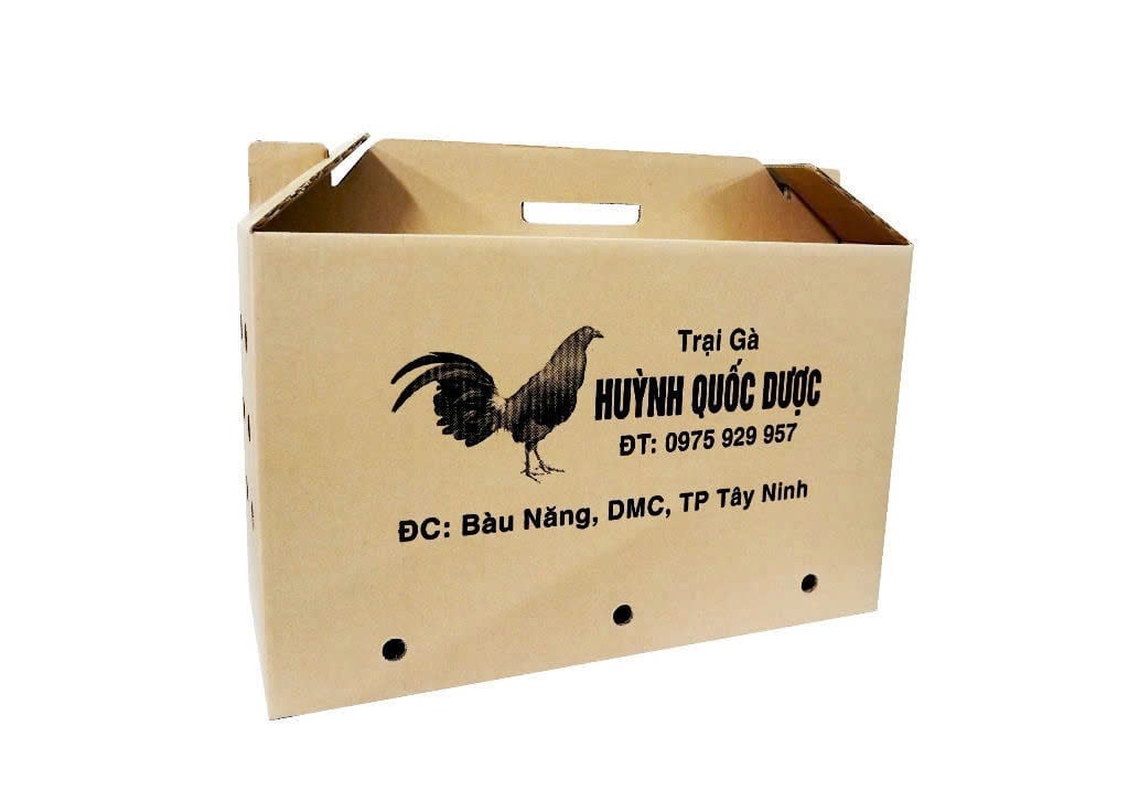 Gợi ý 7+ công ty in hộp giấy uy tín tại Gia Lai