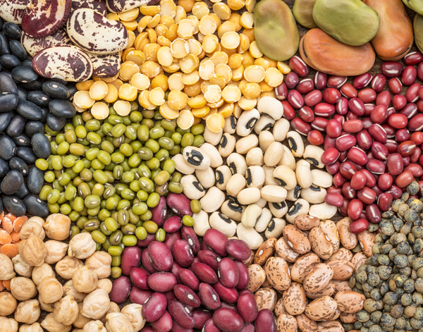 5 Loại Đậu Giàu Protein Cho Người Tiểu Đường