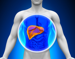 5 Việc Nên Làm Mỗi Sáng Giúp Gan Thải Độc