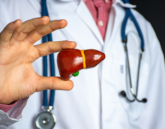 5 Thói Quen Hàng Ngày Giúp Gan Khỏe Mạnh Và Đẩy Lùi Gan Nhiễm Mỡ