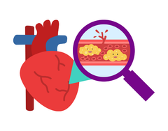 Người Bị Mỡ Máu Cao Nên Ăn Gì Vào Bữa Sáng?