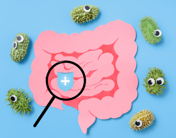 Bảy Quy Tắc Vàng Để Có Một Đường Ruột Khỏe Mạnh | Theo PGS.TS.BS Lê Xuân Hải