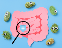 Bảy Quy Tắc Vàng Để Có Một Đường Ruột Khỏe Mạnh | Theo PGS.TS.BS Lê Xuân Hải