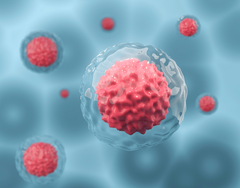 Tế Bào Gốc: Chìa Khóa Phục Hồi Hệ Miễn Dịch Trong Y Học Tái Tạo | Theo PGS.TS.BS Lê Xuân Hải