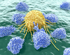 Giải Mã Liệu Pháp Miễn Dịch NK | Theo PGS.TS.BS Lê Xuân Hải