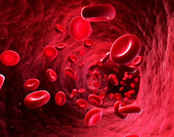 Giảm Tế Bào Máu Ở Bệnh Nhân Ung Thư Sau Hoá Trị – Xạ Trị | Theo PGS.TS.BS Lê Xuân Hải