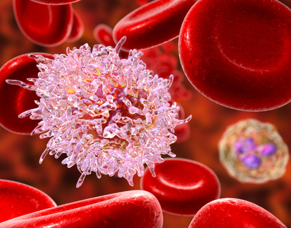 Ung Thư Máu Có Lây Không? | Theo PGS.TS.BS Lê Xuân Hải