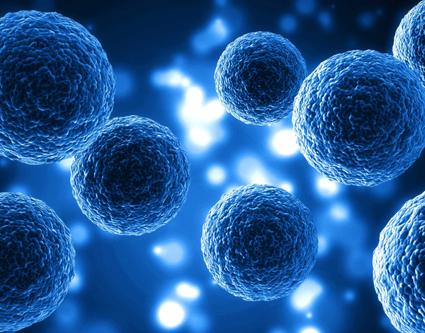 Phục Hồi Miễn Dịch Bằng Tế Bào Gốc | Theo PGS.TS. BS Lê Xuân Hải