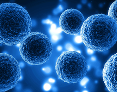 Phục Hồi Miễn Dịch Bằng Tế Bào Gốc | Theo PGS.TS. BS Lê Xuân Hải