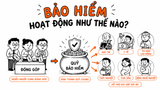 Bảo hiểm hoạt động như thế nào? Giải thích nguyên tắc vận hành
