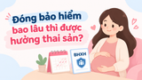 Đóng bảo hiểm bao lâu thì được hưởng thai sản? Chi tiết từng trường hợp