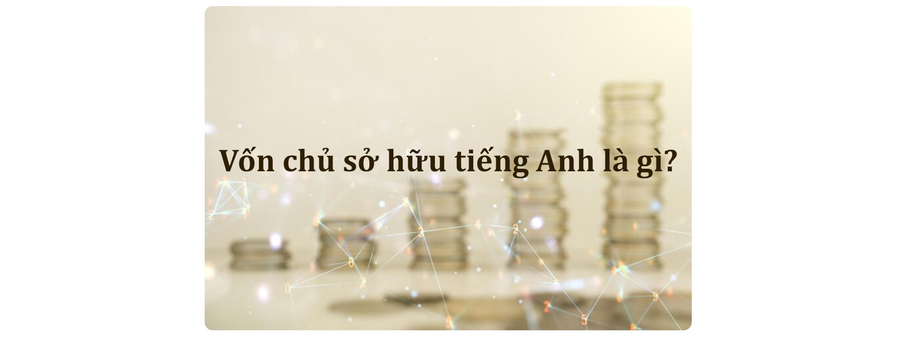 Vốn chủ sở hữu tiếng Anh là gì? Bảng từ vựng tiếng Anh về vốn chủ sở hữu