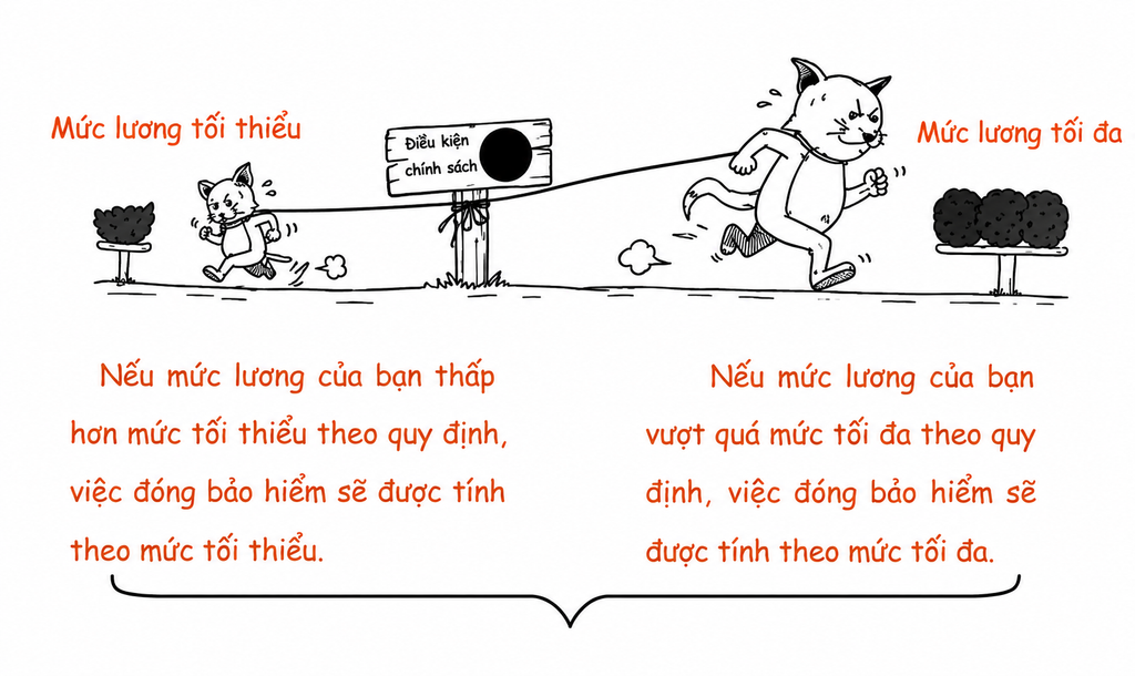 Nguyên tắc của bảo hiểm là đóng góp theo mức thu nhập và quy định
