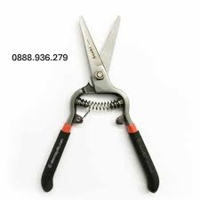 Kéo Cắt Cành Asaki AK-8648 Cao Cấp