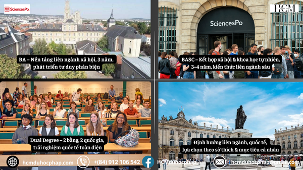 Du học Pháp tại Sciences Po: Chương trình Cử nhân