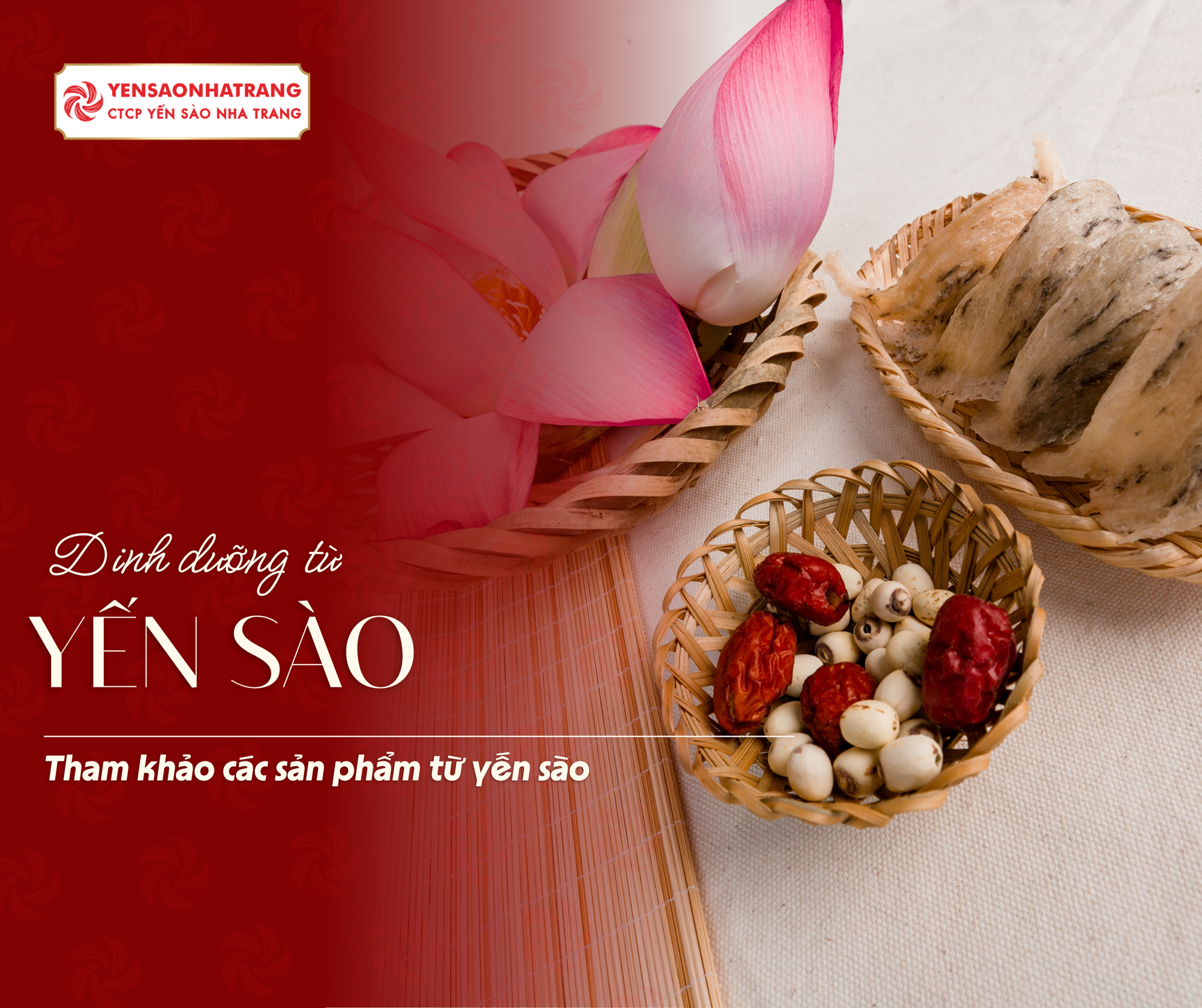 Yến sào - Dinh dưỡng quý giá từ thiên nhiên cho sức khỏe toàn diện