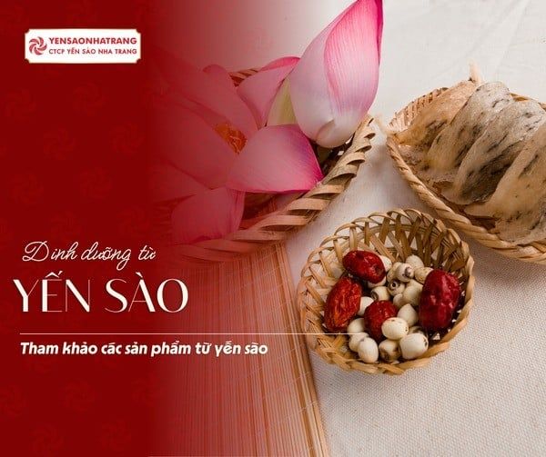 Yến sào - Dinh dưỡng quý giá từ thiên nhiên cho sức khỏe toàn diện