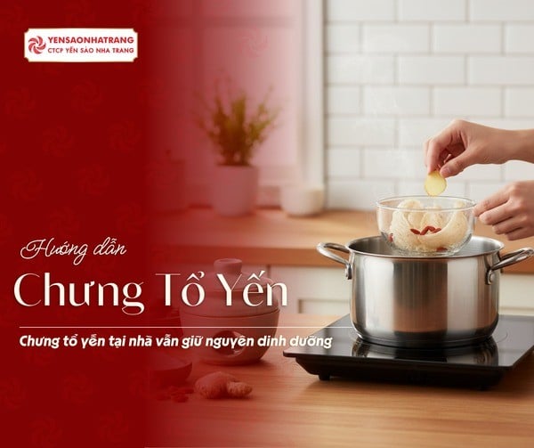 Hướng Dẫn Chưng Tổ Yến Giữ Nguyên Dưỡng Chất Ngay Tại Nhà