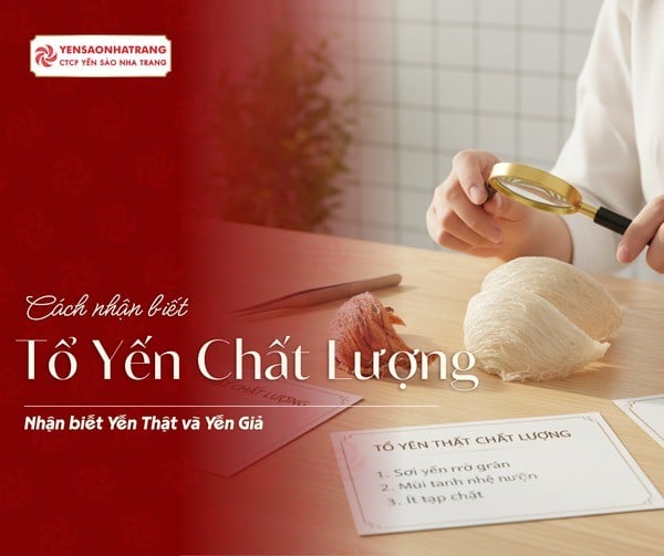 Bí quyết nhận biết tổ yến thật chất lượng