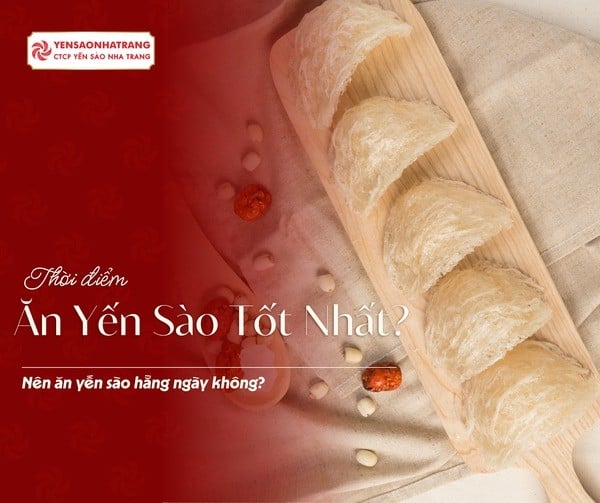 Ăn yến sào vào thời điểm nào là tốt nhất? Có nên dùng yến hằng ngày?