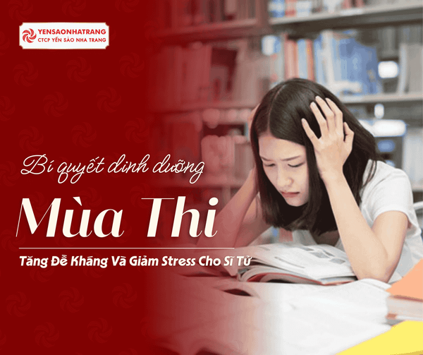 Dinh Dưỡng Mùa Thi: Bí Quyết Tăng Đề Kháng Và Giảm Stress Cho Sĩ Tử 2026