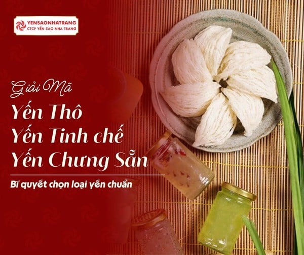Sự khác biệt giữa Yến Thô, Yến Tinh Chế, và Yến Chưng Sẵn - Hiểu đúng để chọn đúng