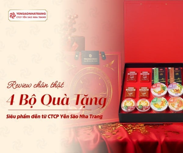 Review 4 bộ quà tặng Tết Yến Sào Nha Trang 2026: Có gì bên trong?