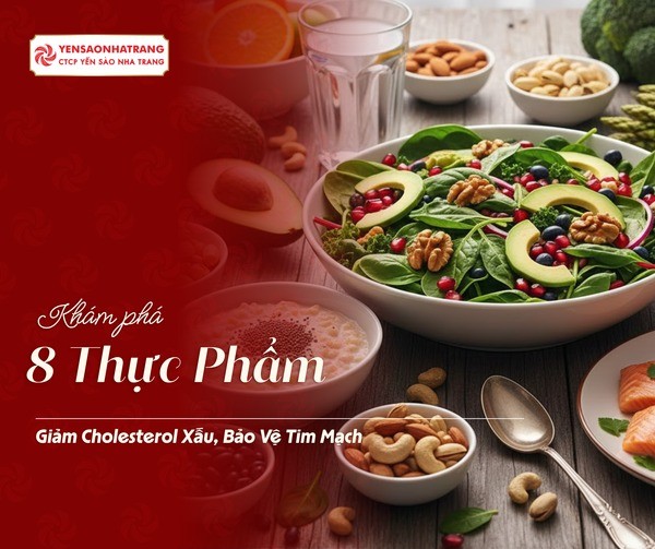 8 Thực Phẩm Hỗ Trợ Giảm Cholesterol Xấu, Bảo Vệ Tim Mạch