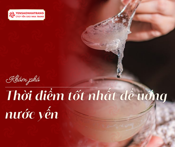 Khám phá thời điểm tốt nhất để uống nước yến
