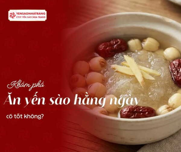 Ăn yến sào hằng ngày có tốt không?