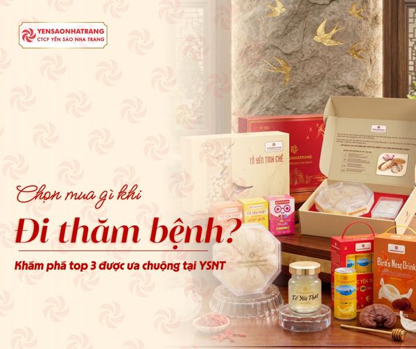 Chọn nước yến, tổ yến chưng sẵn hay tổ yến tinh chế khi đi thăm bệnh?