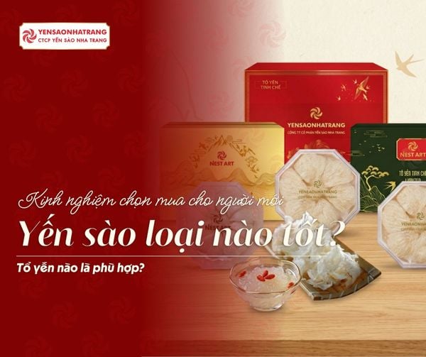 Yến sào loại nào tốt? Kinh nghiệm chọn mua cho người mới